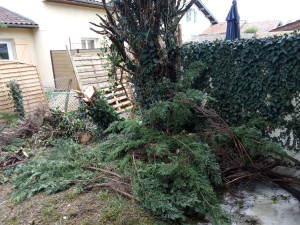 Photo de galerie - Entretien espaces verts 