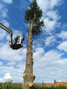 Photo de galerie - Intervention avec une nacelle 