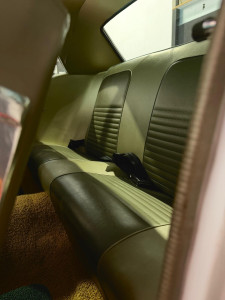 Photo de galerie - Traitement Cuir  intérieur  