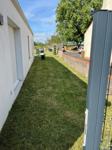 Photo de galerie - Tonte de pelouse - Débroussaillage