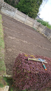 Photo de galerie - Prépare et planté et tondre votre jardin
