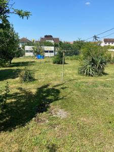 Photo de galerie - Tonte de pelouse 