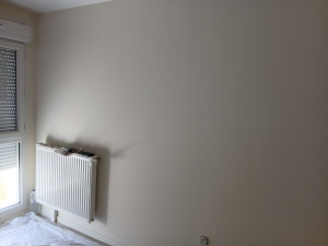 Photo de galerie - Avant peinture 