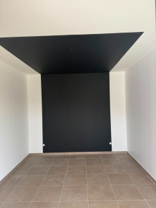Photo de galerie - Peinture - Plafond et murs - teinte et motif 