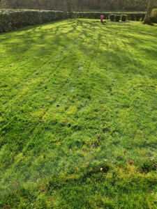 Photo de galerie - Tonte de pelouse sur Châteauneuf-du-Faou 