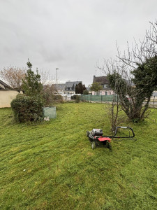 Photo de galerie - Tonte de pelouse - Débroussaillage