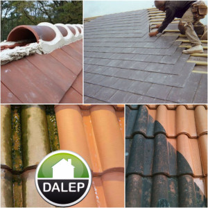 Photo de galerie - Couverture - Toiture