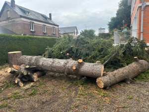 Photo de galerie - Démontage 