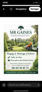 Photo de galerie - Voici mais service que je vous propose 