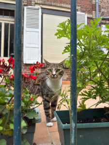 Photo de galerie - Socrate 