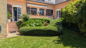 Photo de galerie - Taille de haie de précision 