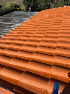 Photo de galerie - Traitement anti mousse, plus hydrofuge incolore 