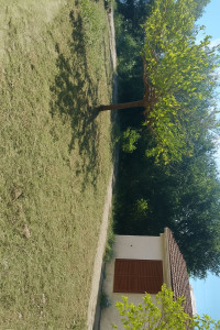 Photo de galerie - Debroussaillage d un jardin 