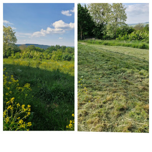Photo de galerie - Débrousaillage mécanique d'une parcelle 