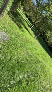 Photo de galerie - Terrain de 2000 m2 tondue 