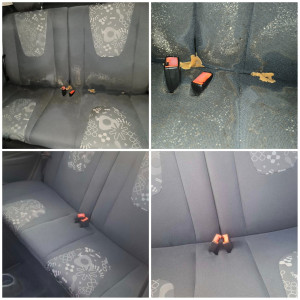 Photo de galerie - Nettoyage moisissures avec champignons