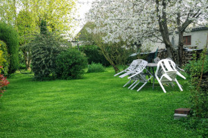 Photo de galerie - Tonte de pelouse