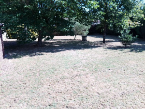 Photo de galerie - Tonde d'entretien de Terrain 