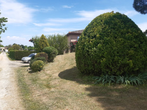 Photo de galerie - Taille d'arbustes