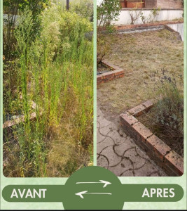 Photo de galerie - Nettoyage débroussaillage