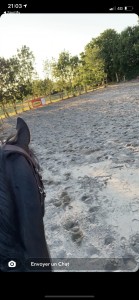 Photo de galerie - Pension chevaux