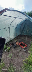 Photo de galerie - Une serre de récupération....avec cette pluie espérons que les plants mis en terre il y a environ 1 semaine n'auront pas trop souffert 