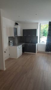 Photo de galerie - Pose de parquet et peinture 