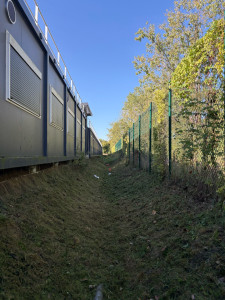 Photo de galerie - Tonte de pelouse - Débroussaillage