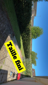 Photo de galerie - Après la taille et le ramassage 