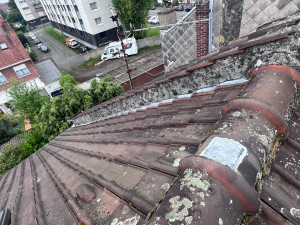 Photo de galerie - Cimentation de rives