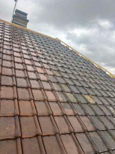 Photo de galerie - Nettoyage toiture 