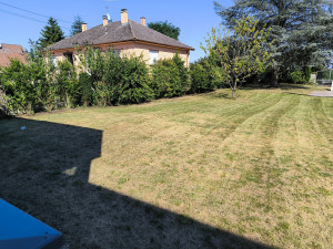 Photo de galerie - Tonte de pelouse - Débroussaillage