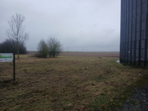 Photo de galerie - Tonte de pelouse - Débroussaillage