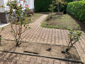 Photo de galerie - Jardinier