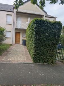 Photo de galerie - Taille de haie 