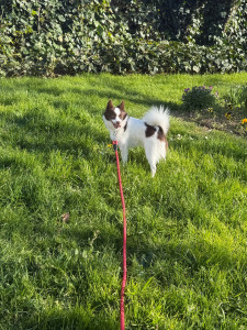 Photo de galerie - Petit Vlad :) 