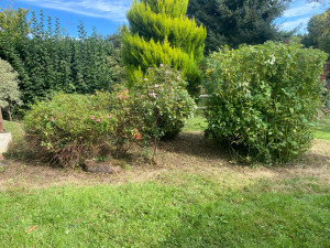 Photo de galerie - Jardinier