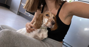 Photo de galerie - Garde chien