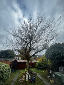 Photo de galerie - AVANT 