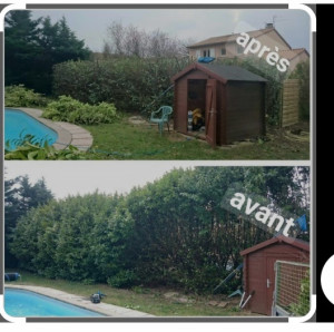 Photo de galerie - Entretien du jardin 