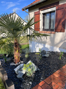 Photo de galerie - Plantation ,décoration de massif 
