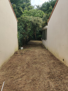 Photo de galerie - La photo montre un jardin remis en état avec soin : haies taillées, zones débroussaillées et parterres désherbés. Le résultat est un espace propre et bien entretenu, illustrant un travail professionnel.