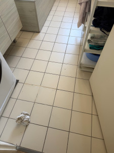 Photo de galerie - Avant de faire la prestation 