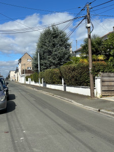 Photo de galerie - Elagage et coupe d'arbres