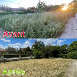 Photo de galerie - Tonte de pelouse - Débroussaillage