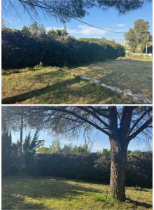 Photo de galerie - APRÈS RABATTAGE DE HAIE 