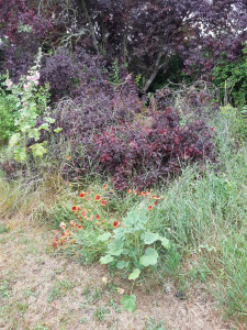 Photo de galerie - Jardinier