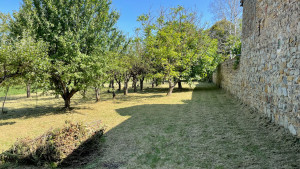 Photo de galerie - Debrousaillage d’un verger, en faisant attention aux arbres 