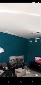 Photo de galerie - Peinture - Tapisserie