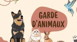 Photo de galerie - GARDE CHIENS